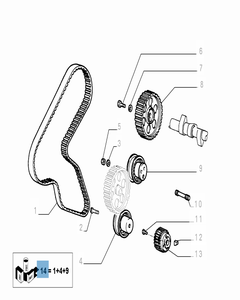 Kit de distribución (correa, tensor de correa fijo y regulable) - 3 piezas para Fiat y Fiat Professional